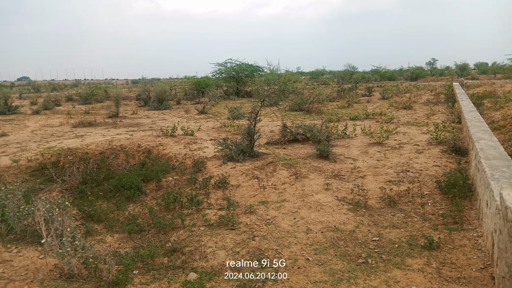 Area - 627 Sq Mtr Residential Plot In Goner, Jaipur